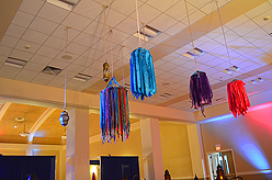 BOHEMIAN GROVE BAT MITZVAH